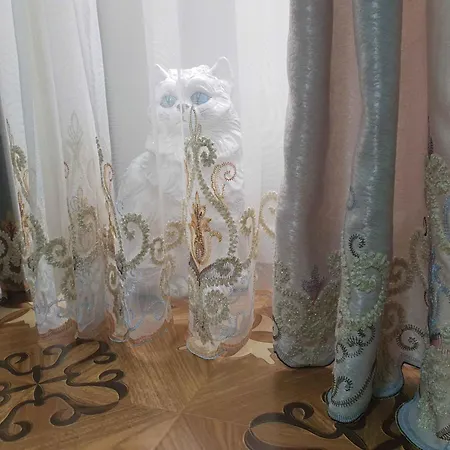 Loft Luxe Et Glamour ! Centre. *